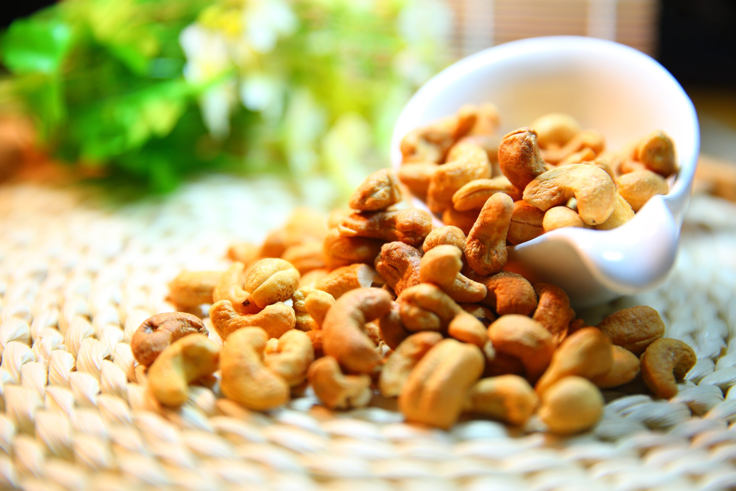 The Journey of the Cashew Fruits